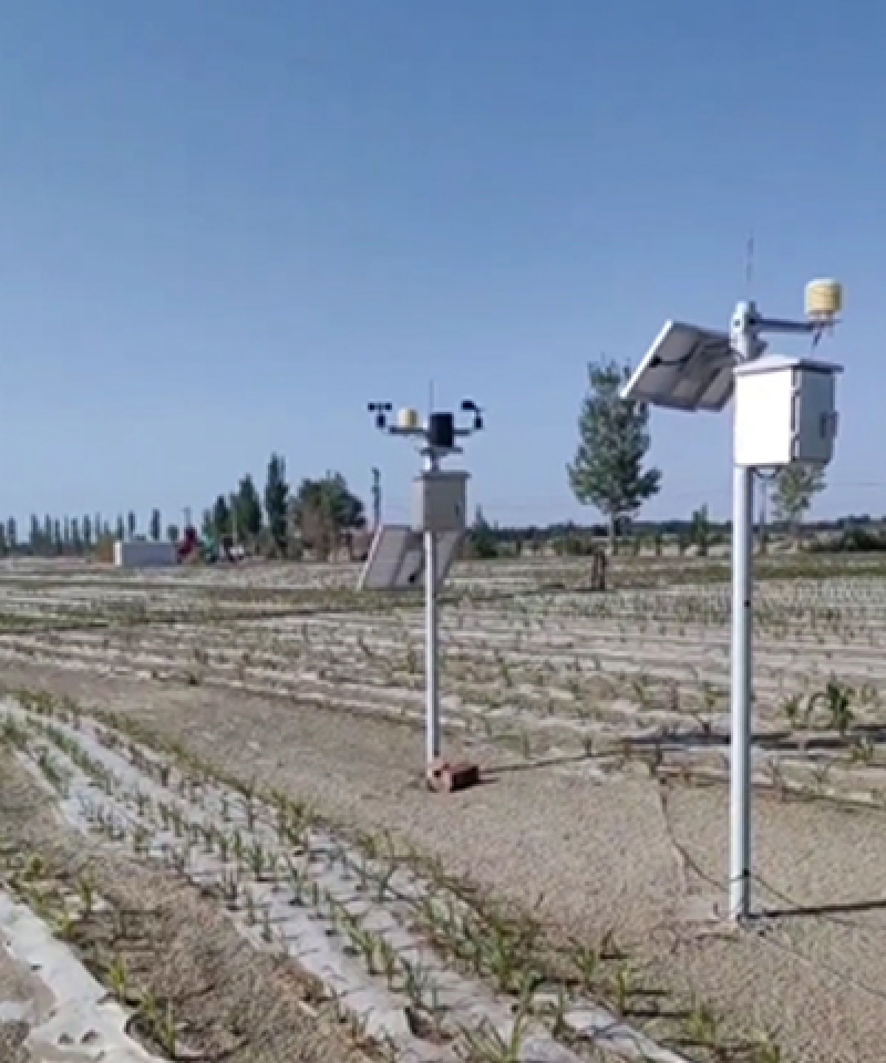 新疆莎車500畝高標(biāo)準(zhǔn)農(nóng)田建設(shè)示范園項(xiàng)目